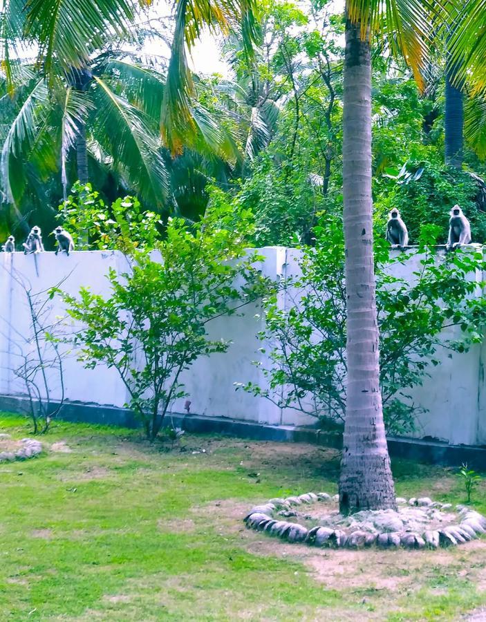 Pearl Oceanic Resort - تريكونامالاي المظهر الخارجي الصورة